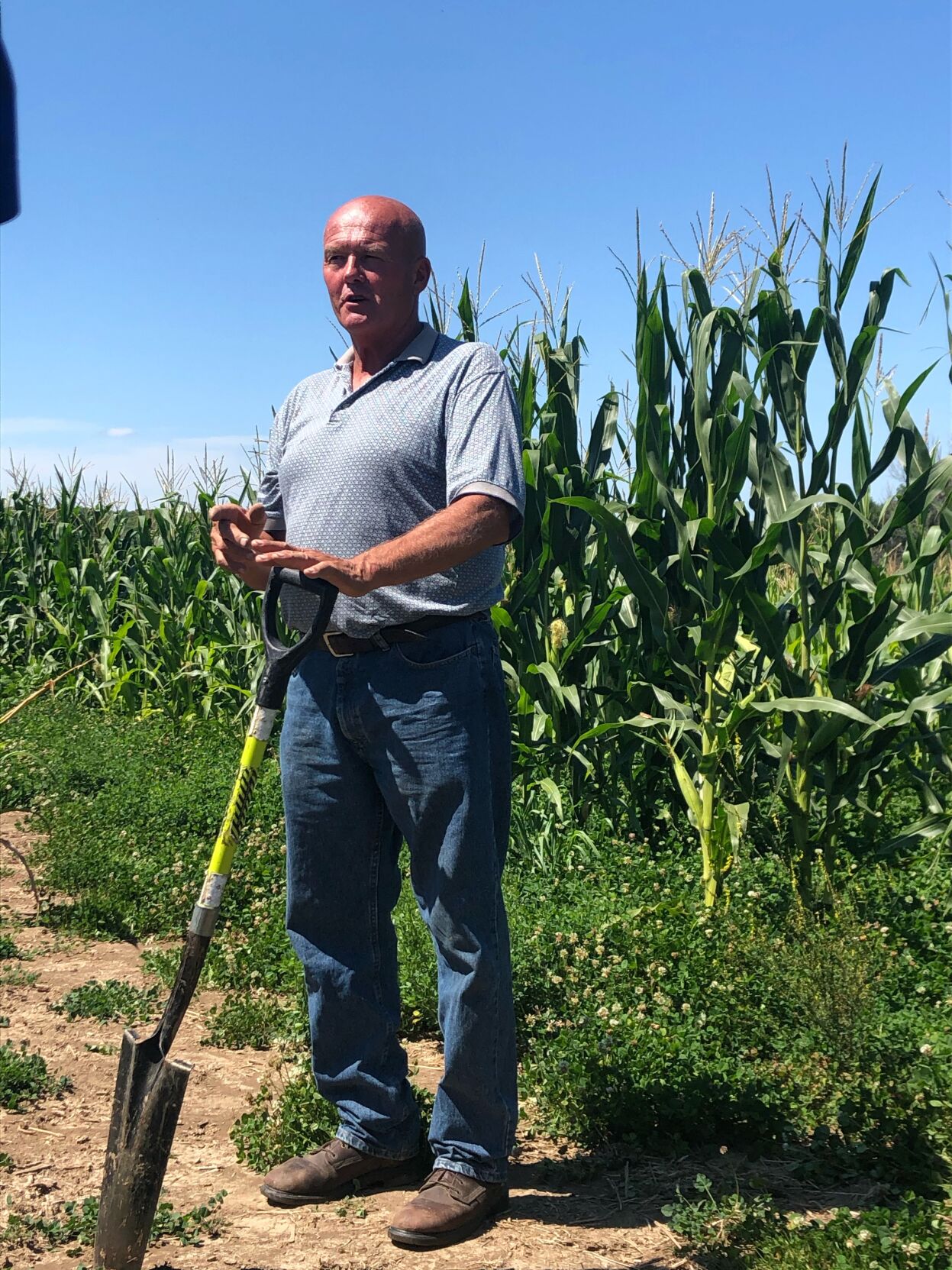 Rainfall simulator, cover crop trials offer soil health takeaways
